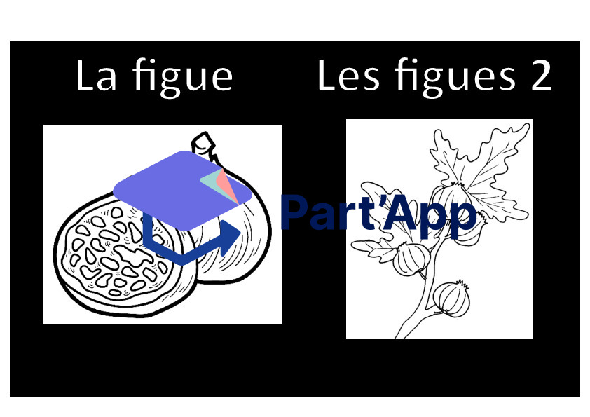 Coloriage: les fruits d’automne_7