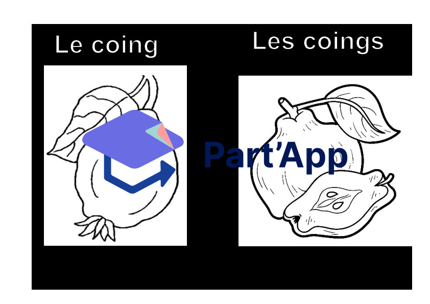 Coloriage: les fruits d’automne_10