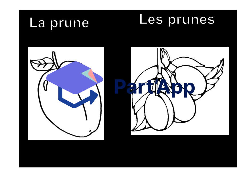 Coloriage: les fruits d’automne_11
