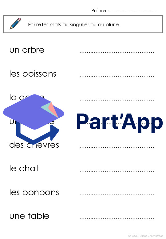 Entrainer le singulier pluriel des noms_2