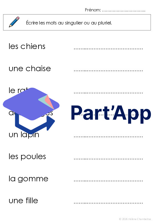 Entrainer le singulier pluriel des noms_3