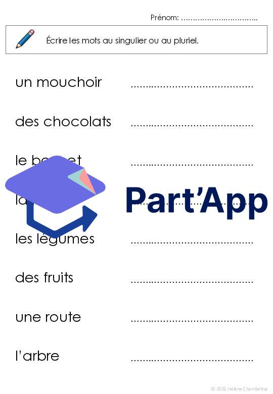 Entrainer le singulier pluriel des noms_5