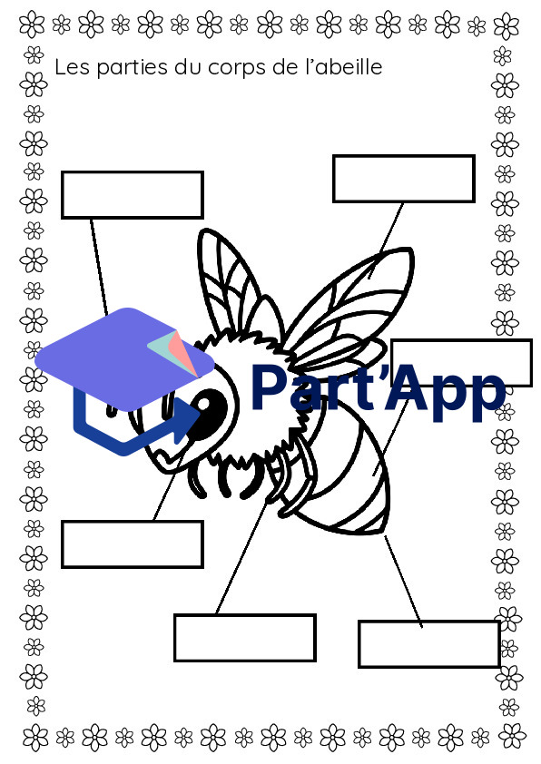 Dossier de l'abeille_3