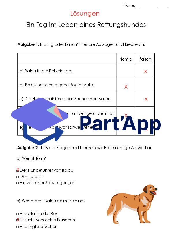 Hörverstehen mit Audio | Sachtexten | 3 lebensnahe Themen für die 4.-6. Klasse_6