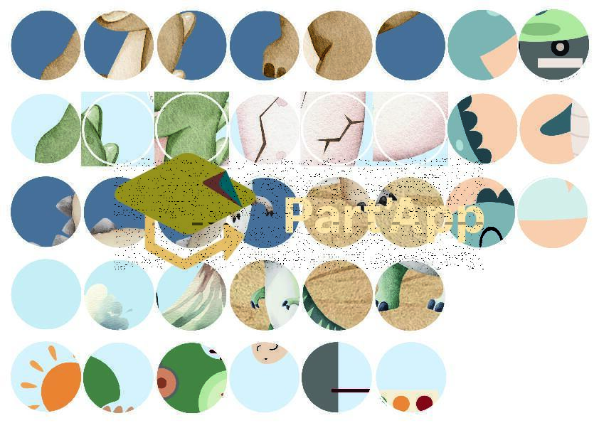 23. 12 puzzles détails — Les dinos 2026_175