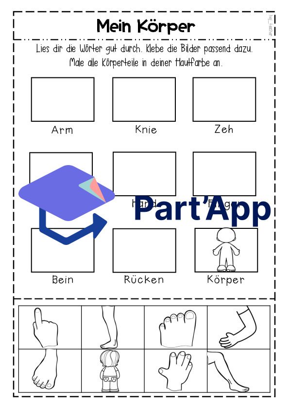 Mein Körper - Schneiden und Kleben_3