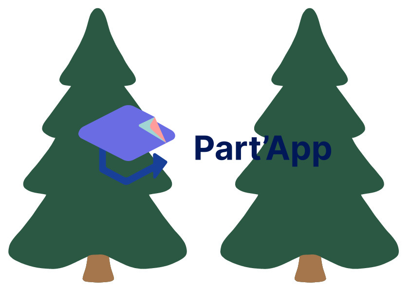 Les sapins_8