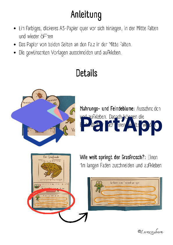 Lapbook für den Kindergarten: Der Frosch_3
