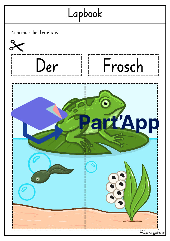 Lapbook für den Kindergarten: Der Frosch_4