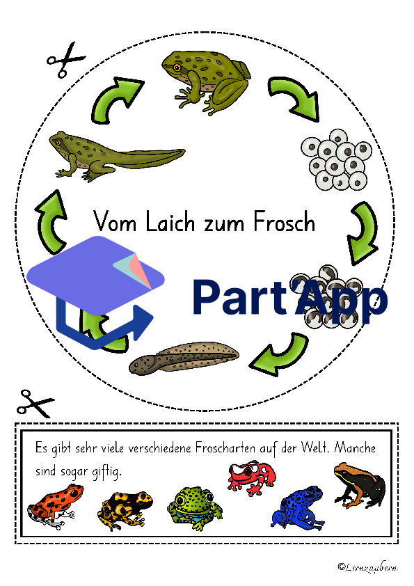 Lapbook für den Kindergarten: Der Frosch_5