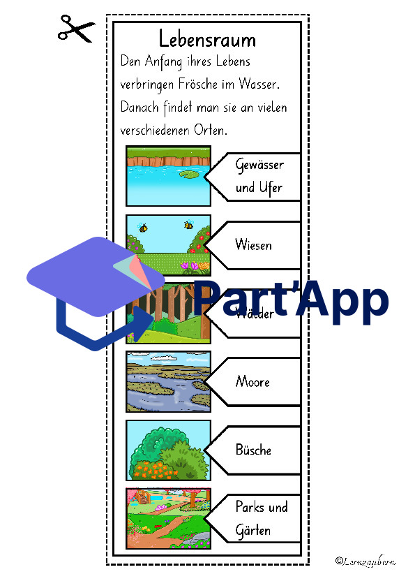 Lapbook für den Kindergarten: Der Frosch_6
