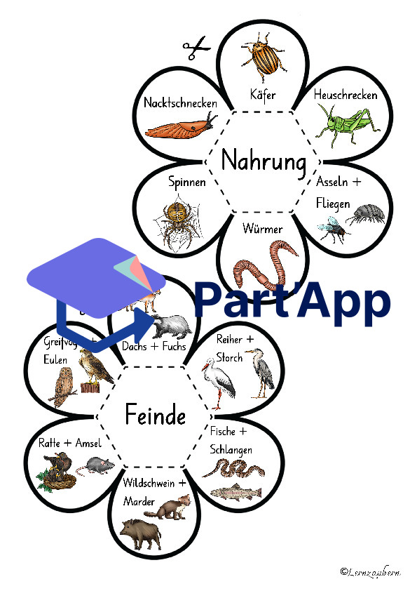 Lapbook für den Kindergarten: Der Frosch_7