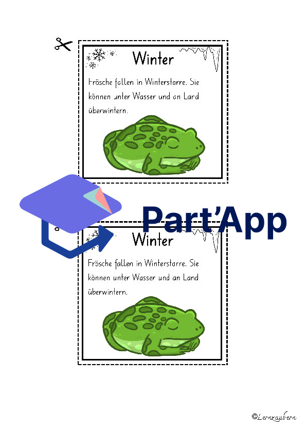 Lapbook für den Kindergarten: Der Frosch_8