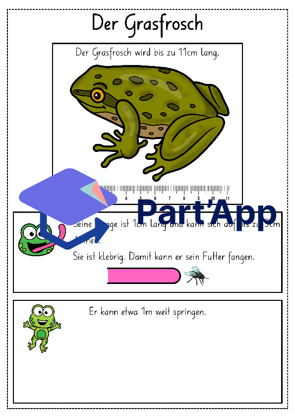 Lapbook für den Kindergarten: Der Frosch_9