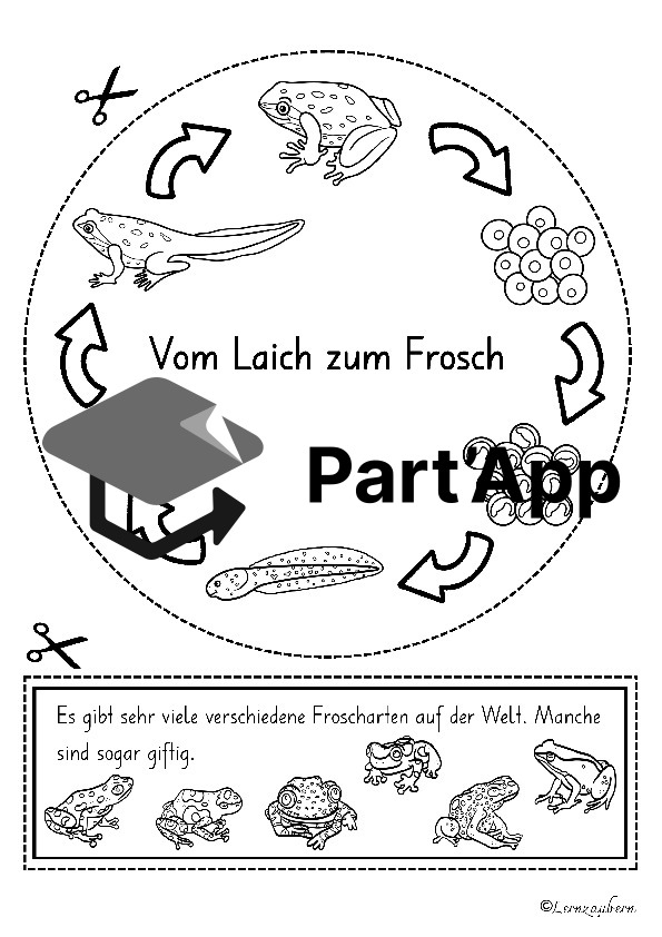 Lapbook für den Kindergarten: Der Frosch_11