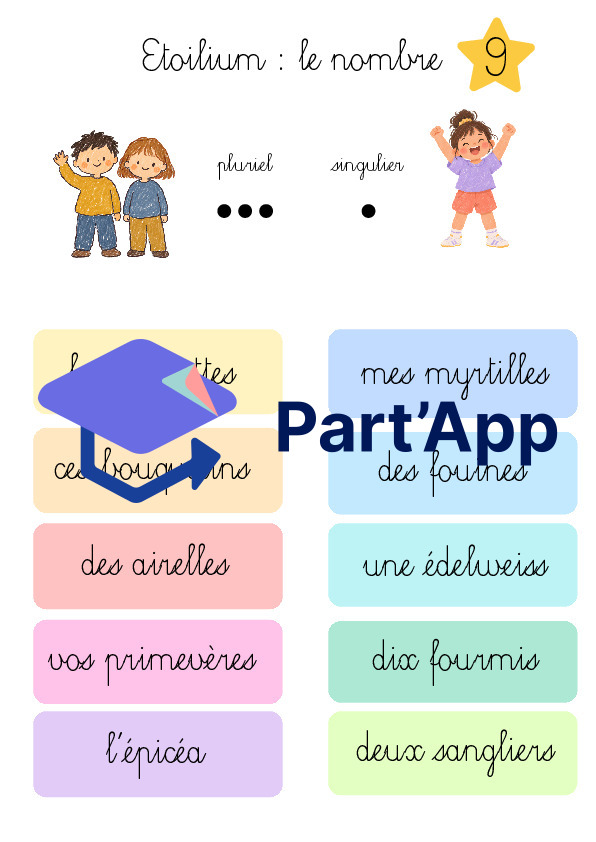 Etoilium genre et nombre_3