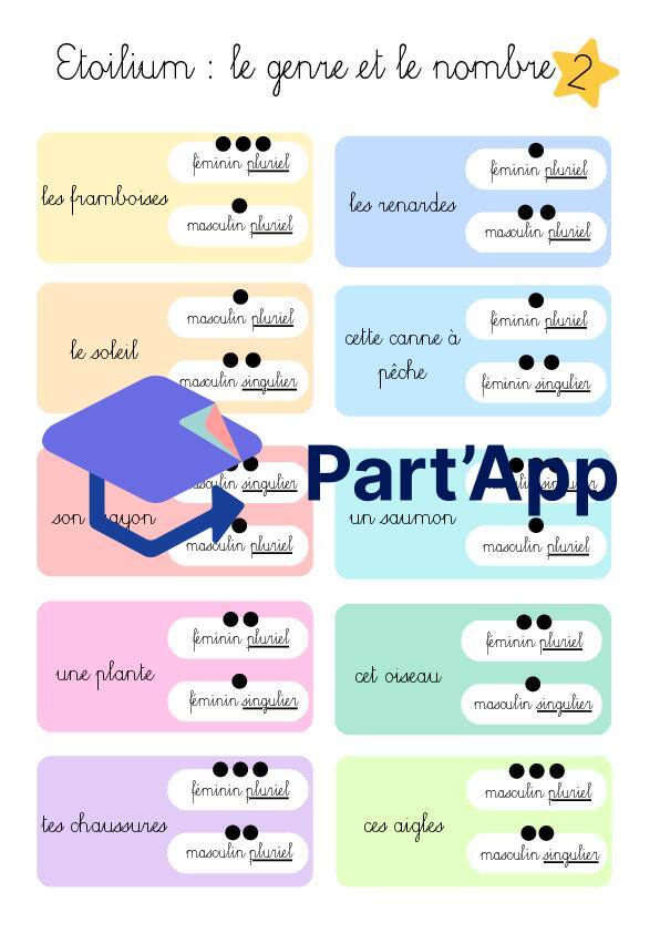 Etoilium genre et nombre_4