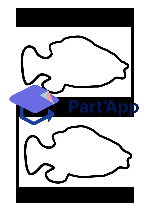 Test Arts Visuels - poisson_3