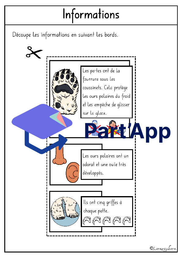 Lapbook " L'ours polaire "_5