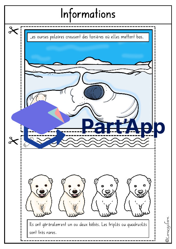 Lapbook " L'ours polaire "_7
