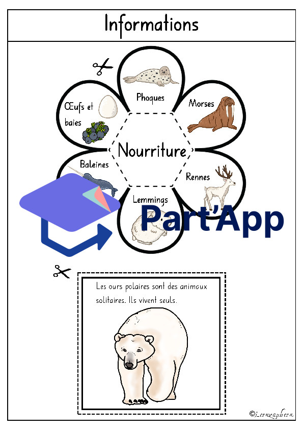Lapbook " L'ours polaire "_8