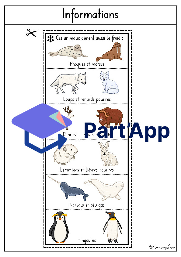 Lapbook " L'ours polaire "_9
