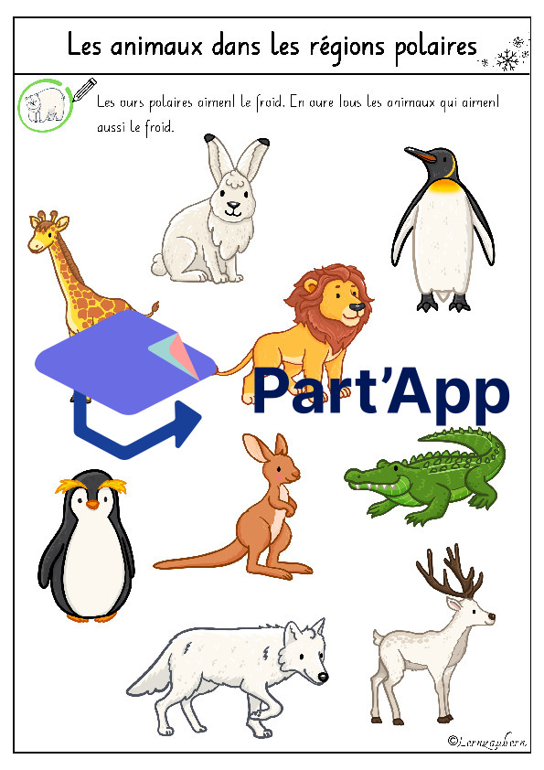 Lapbook " L'ours polaire "_10