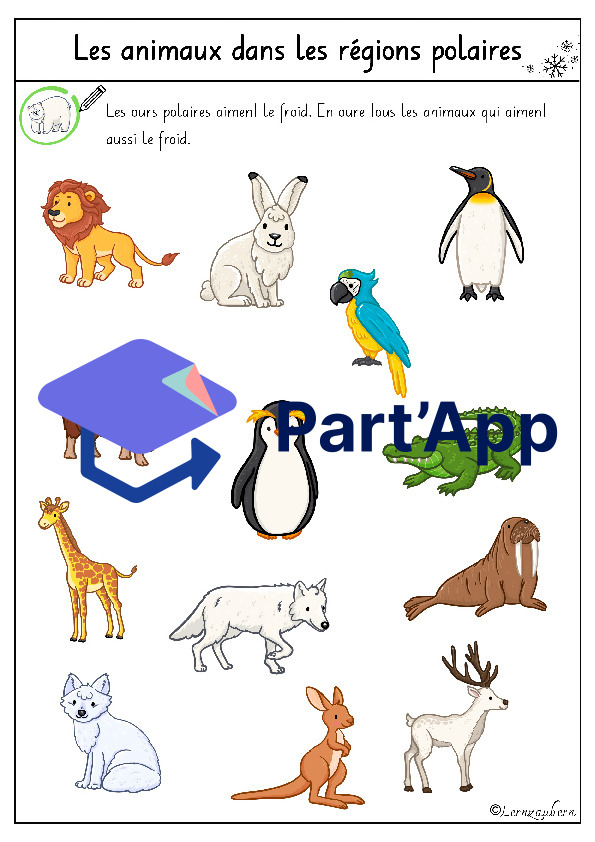 Lapbook " L'ours polaire "_11