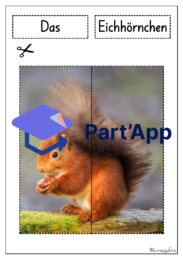 Lapbook für den Kindergarten: Das Eichhörnchen_14