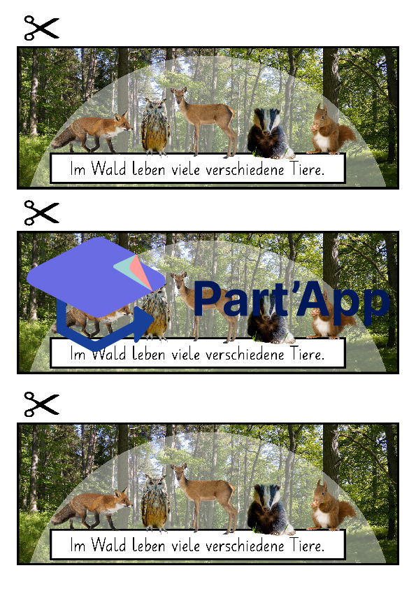 Lapbook für den Kindergarten: Das Eichhörnchen_15