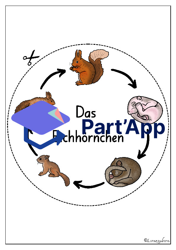 Lapbook für den Kindergarten: Das Eichhörnchen_16