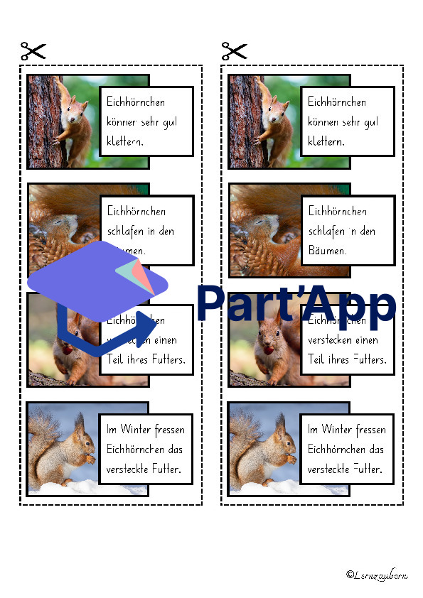 Lapbook für den Kindergarten: Das Eichhörnchen_17