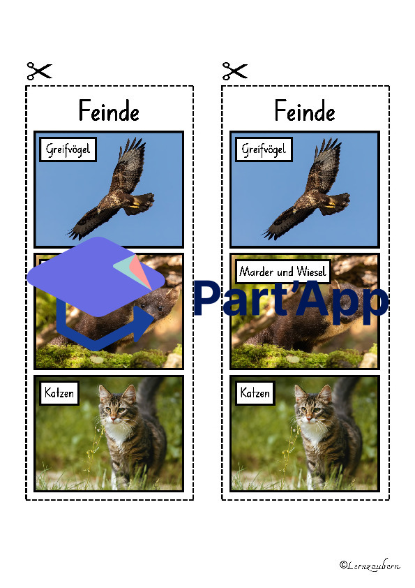 Lapbook für den Kindergarten: Das Eichhörnchen_18