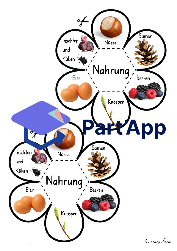 Lapbook für den Kindergarten: Das Eichhörnchen_19