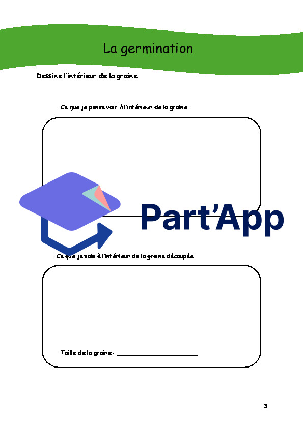 Séquence sur la germination du harciot_8