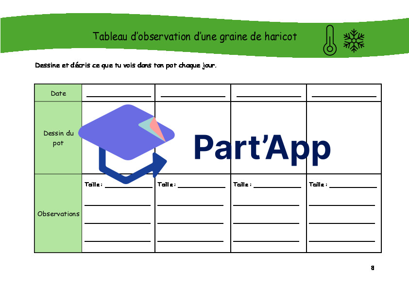 Séquence sur la germination du harciot_3