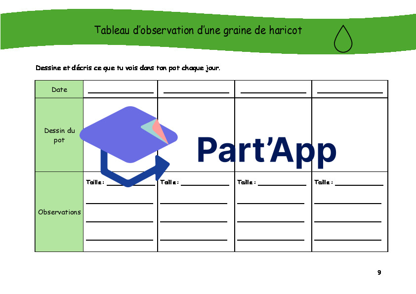 Séquence sur la germination du harciot_4