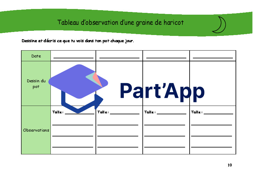 Séquence sur la germination du harciot_5