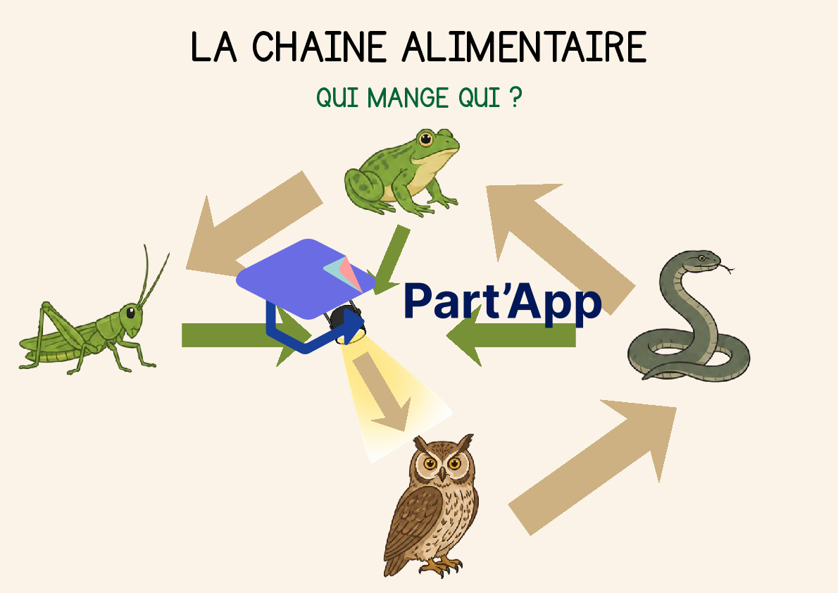 Sciences de la nature : jeu en extérieur sur la chaine alimentaire_4