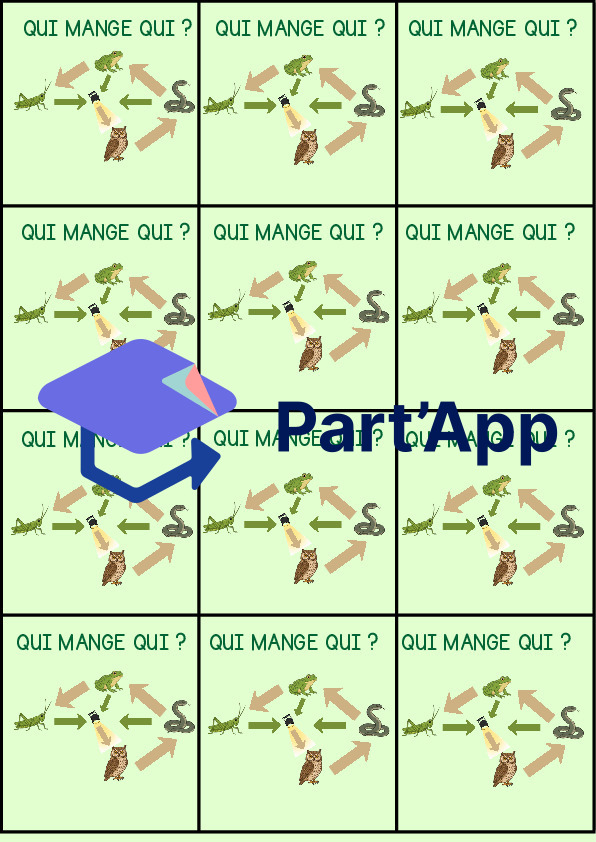 Sciences de la nature : jeu en extérieur sur la chaine alimentaire_7