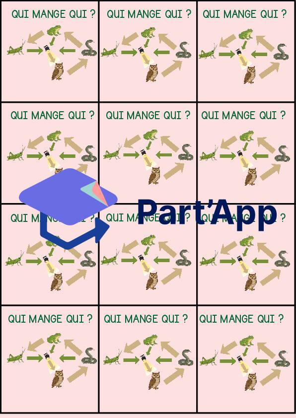 Sciences de la nature : jeu en extérieur sur la chaine alimentaire_9