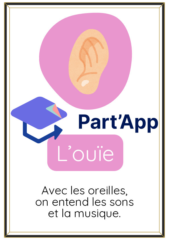 Affiches 5 sens_7