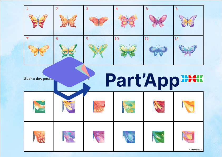 🦋 Papillon 8x dossier velcro regarde bien_38