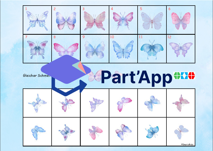 🦋 Papillon 8x dossier velcro regarde bien_40