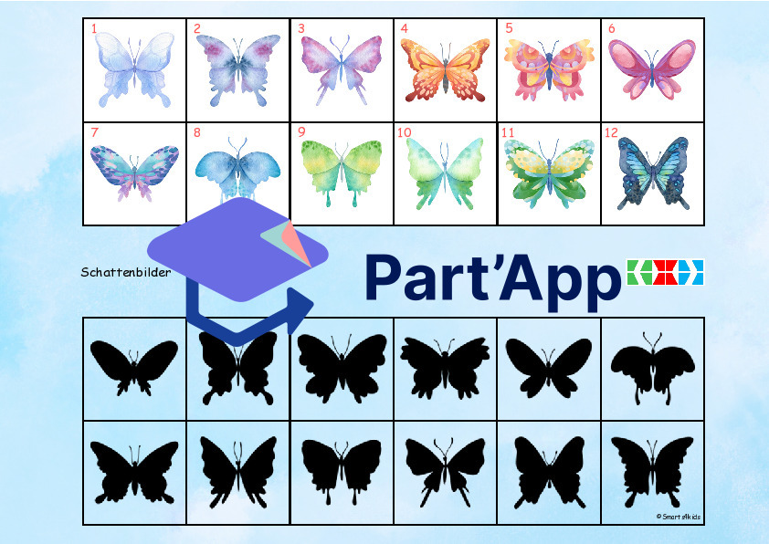 🦋 Papillon 8x dossier velcro regarde bien_43