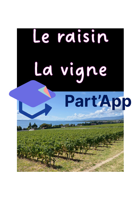 La vigne, le raisin_2