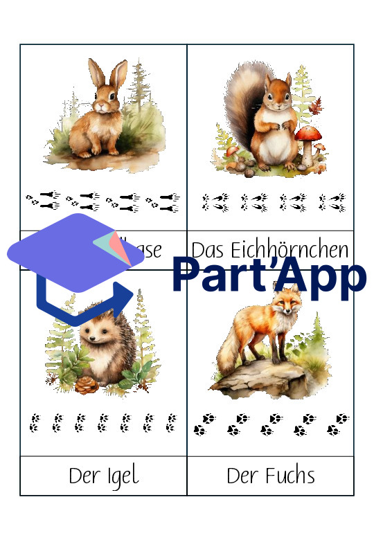 Cartes d'apprentissage Les animaux de la forêt et leurs traces_2