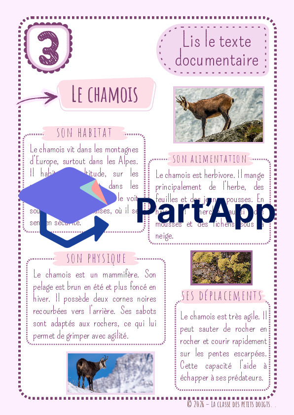 4H - Le texte documentaire (ECR)_9