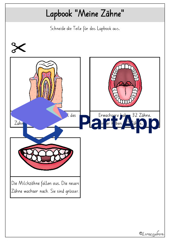 Lapbook für den Kindergarten: Meine Zähne_6