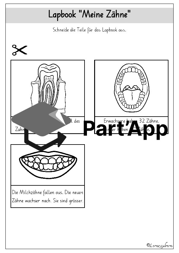 Lapbook für den Kindergarten: Meine Zähne_11